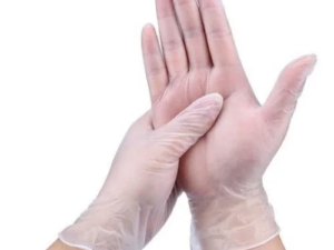 VINYL Gloves Powder Free